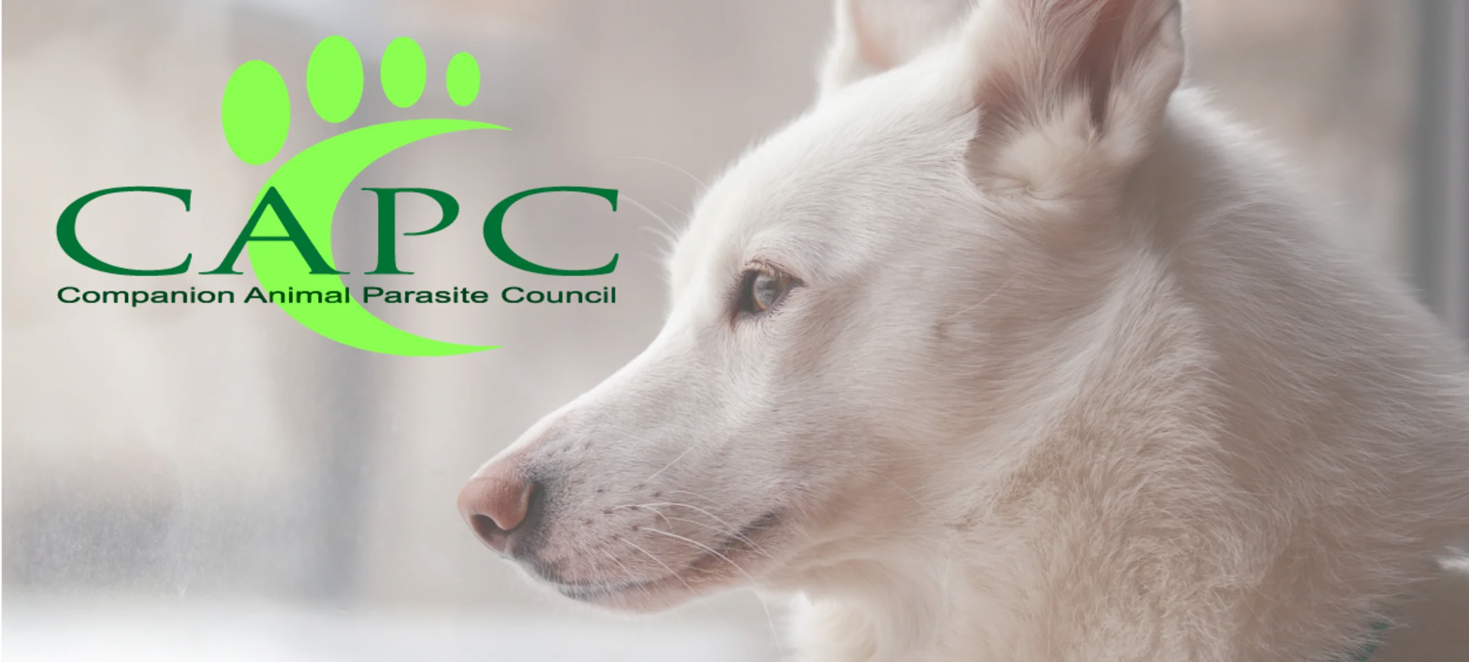 Companion Animal Parasite Council (CAPC)